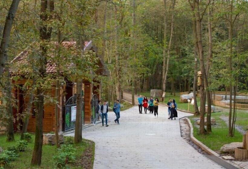 هتل Snow Hi̇ll House Pansiyon