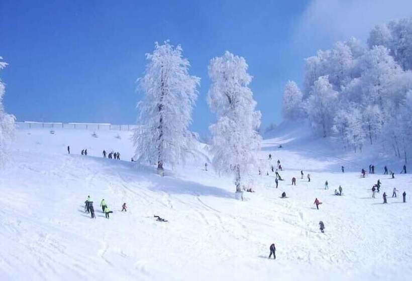 هتل Snow Hi̇ll House Pansiyon