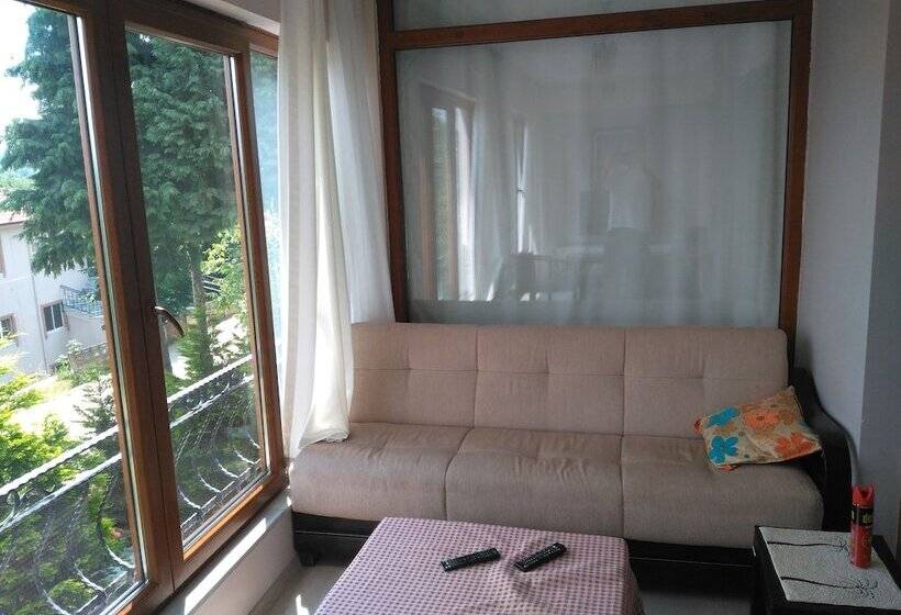 هتل Snow Hi̇ll House Pansiyon