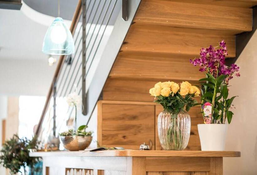 Stefanies Cafe Pension Culture