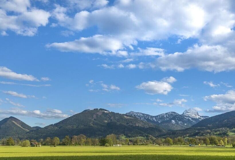 Stefanies Cafe Pension Culture