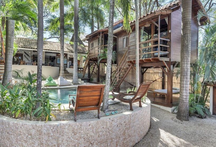 The Beach Bungalows Tamarindo B&b