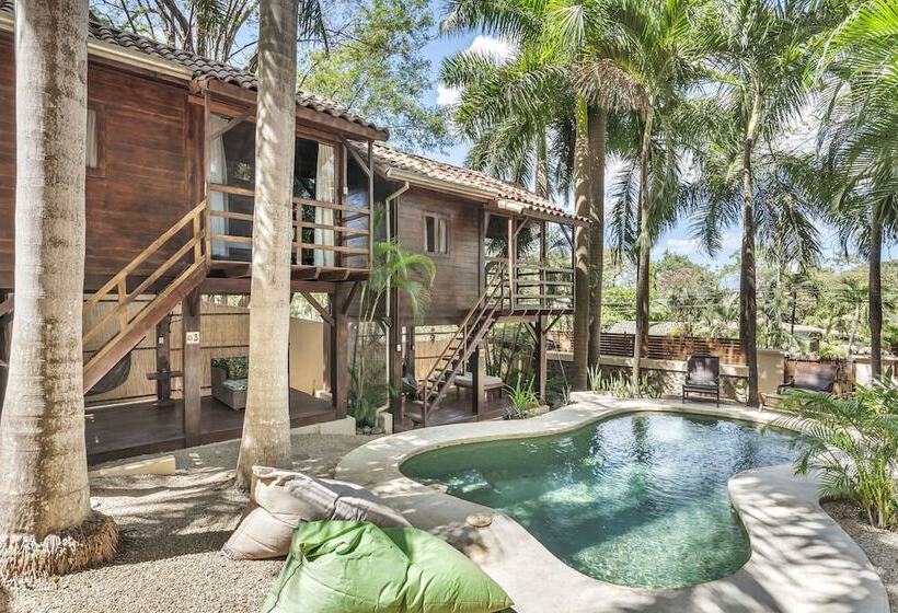 The Beach Bungalows Tamarindo B&b