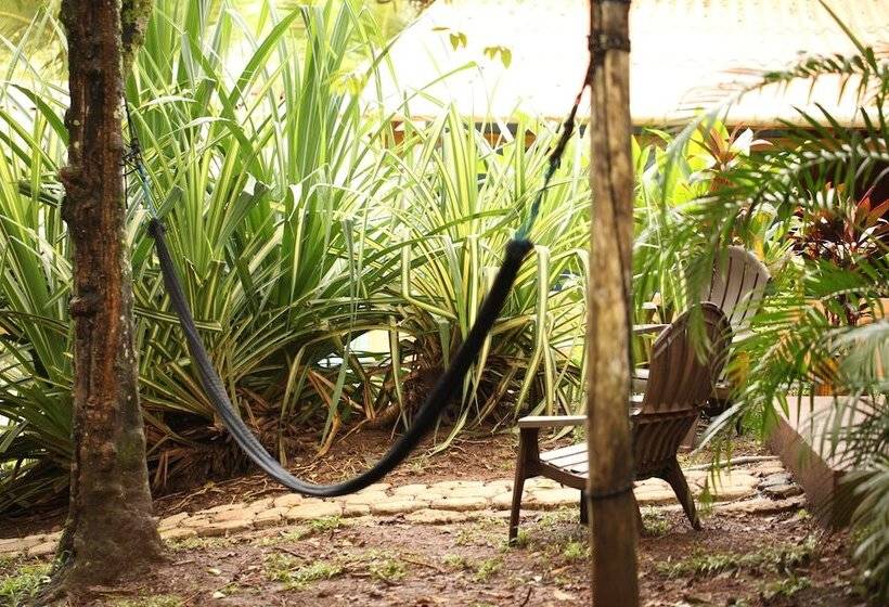 Tiki Lodge Bar & Restaurant   Hostel