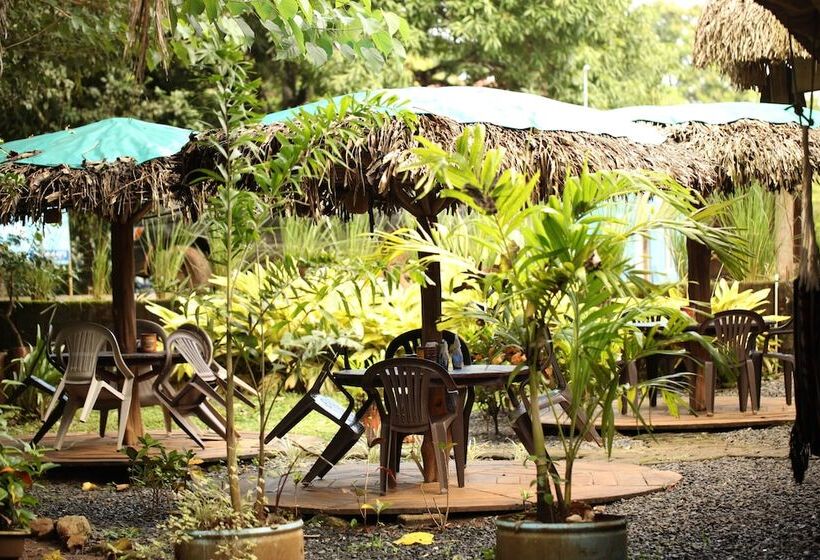 Tiki Lodge Bar & Restaurant   Hostel