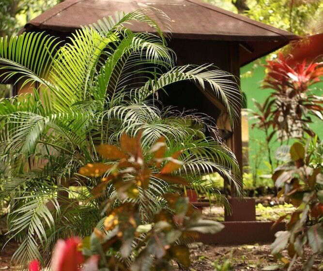 Tiki Lodge Bar & Restaurant   Hostel