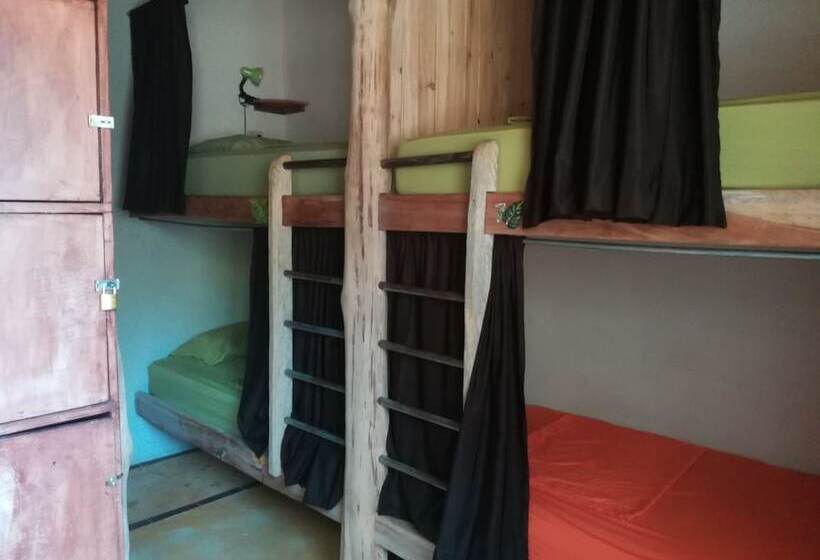 Tiki Lodge Bar & Restaurant   Hostel