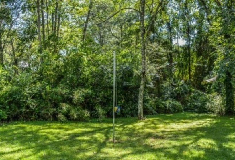 Toccozy Cabin Retreat