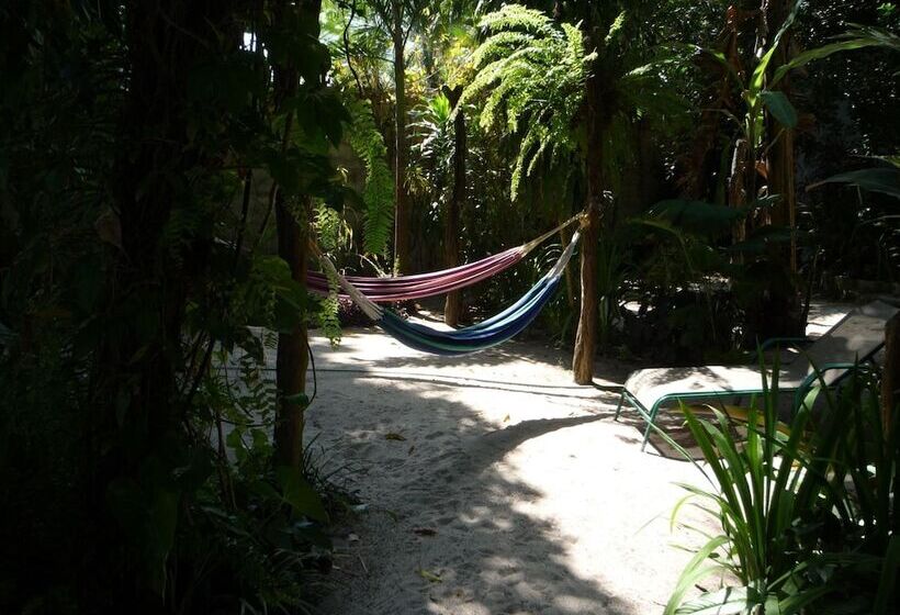 Togo Bed And Breakfast