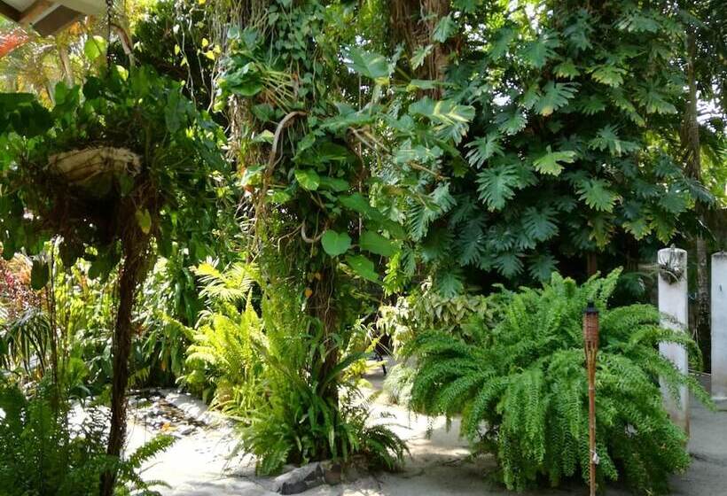 Togo Bed And Breakfast