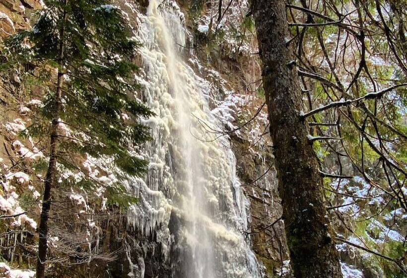 Tomich Holidays Courtyard Cottage