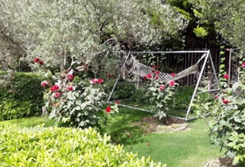 Urla Begonvil Pansiyon