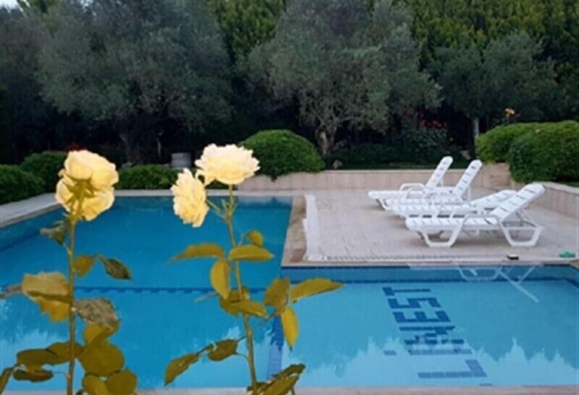 Urla Begonvil Pansiyon