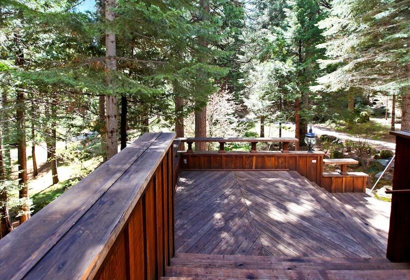 Yosemite Scenic Wonders   Fish Camp Area