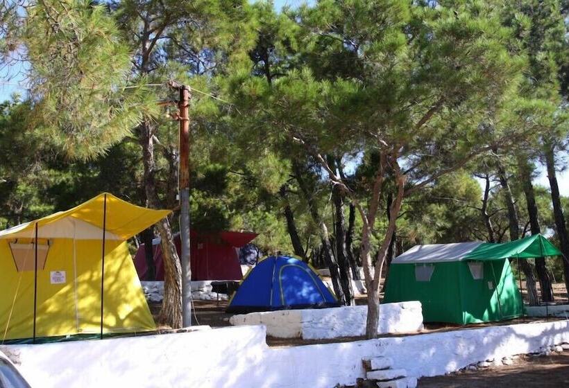 فندق صغير Camlik Kamping