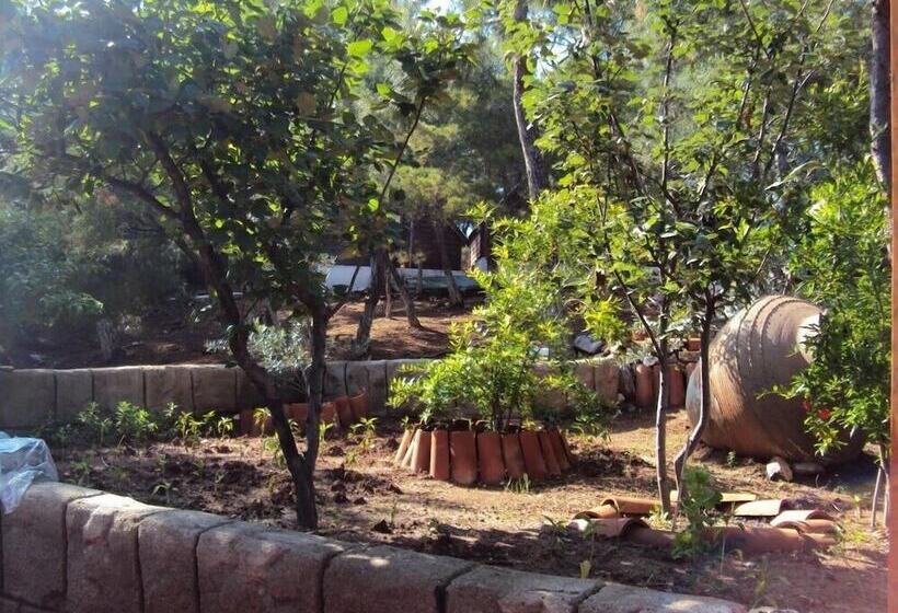 فندق صغير Camlik Kamping