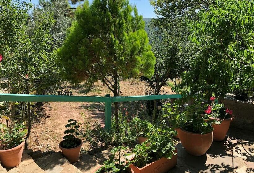 Yesil Vadi Apart Pansiyon   Hostel