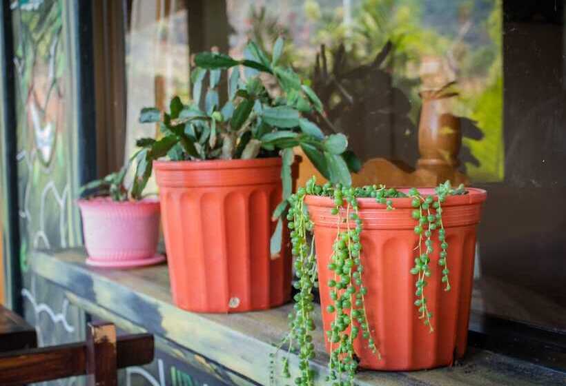 צימר Cabinas Las Manzanas Bed Y Breakfast