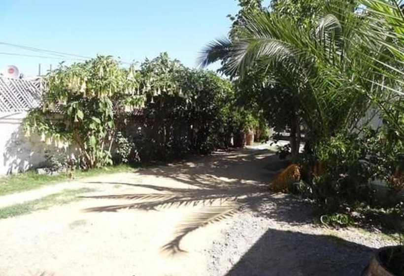 ベッドアンドブレックファースト Hostal Vida 2000