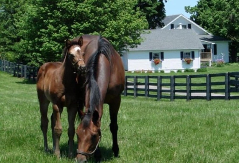 ベッドアンドブレックファースト The Guesthouse At Rosecrest Farm