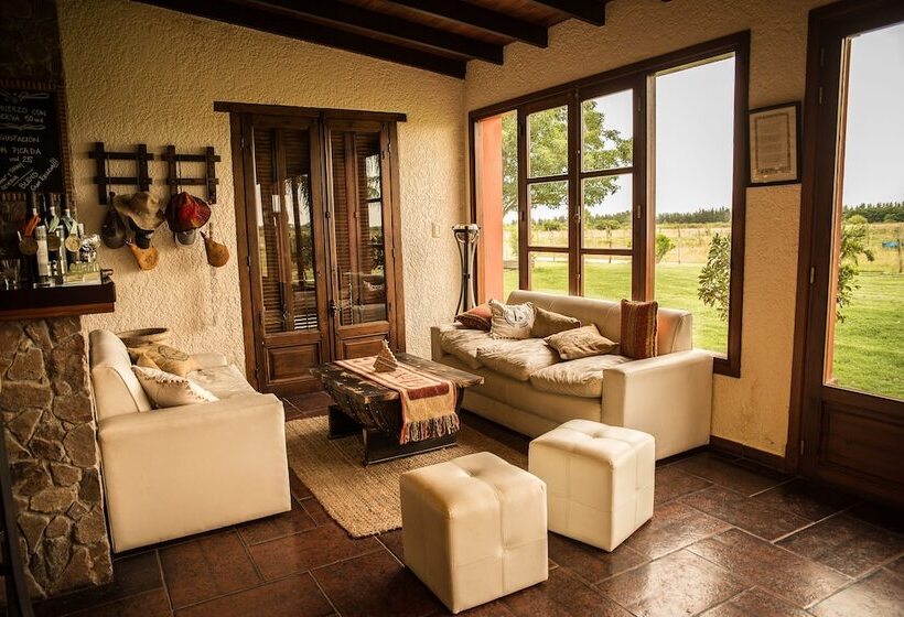 Carmelo Hostel & Garden