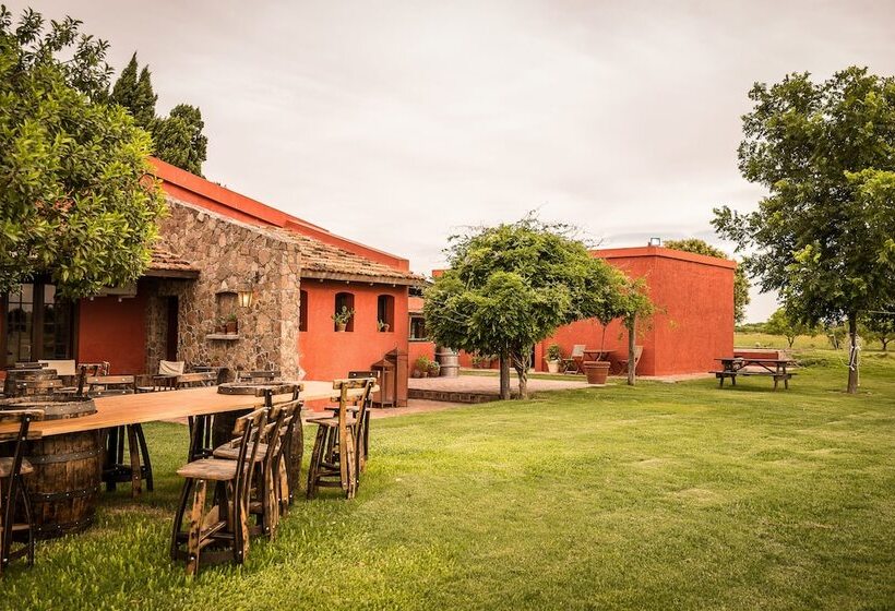 Carmelo Hostel & Garden