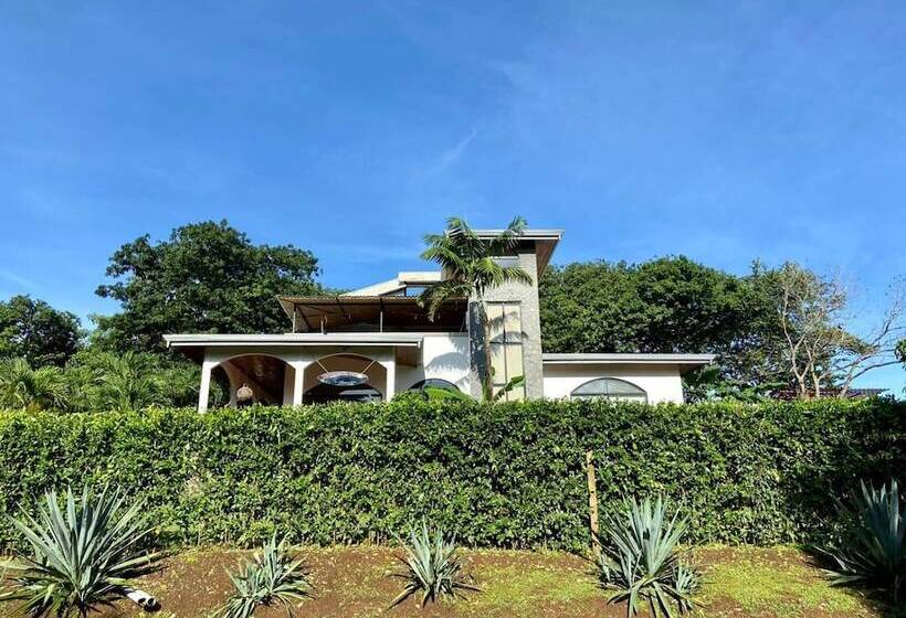 Casa Alice Surf Lodge   Hostel