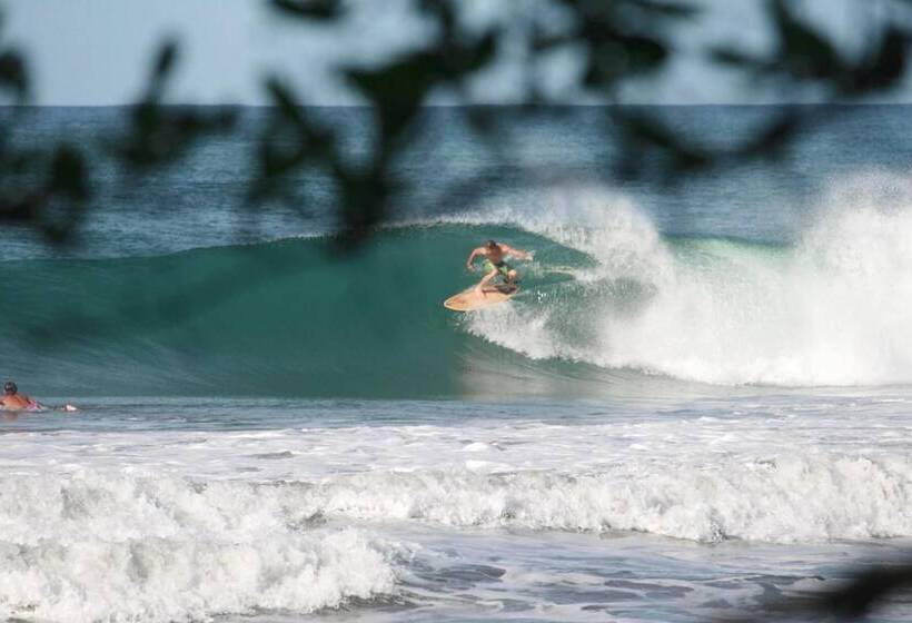 Casa Alice Surf Lodge   Hostel