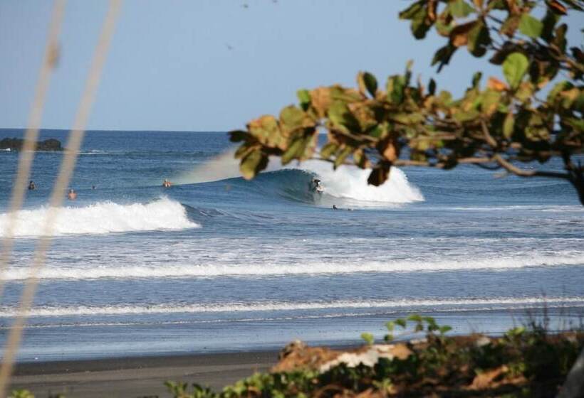 Casa Alice Surf Lodge   Hostel