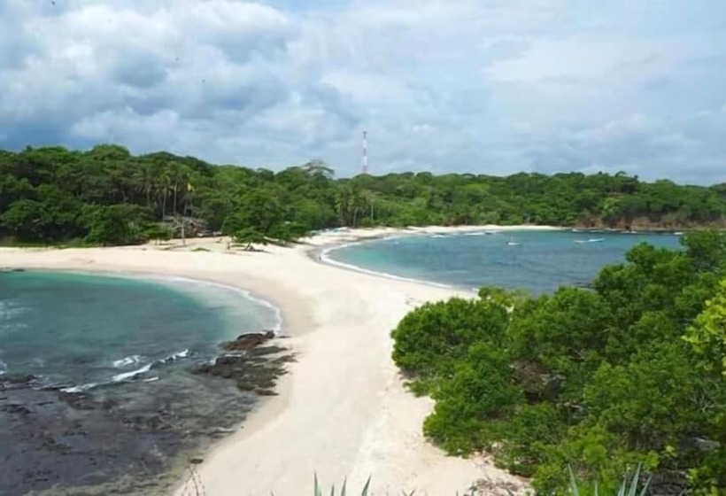 Casa Alice Surf Lodge   Hostel