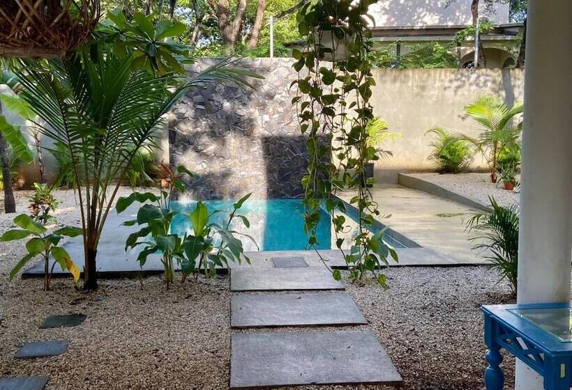 Casa Alice Surf Lodge   Hostel