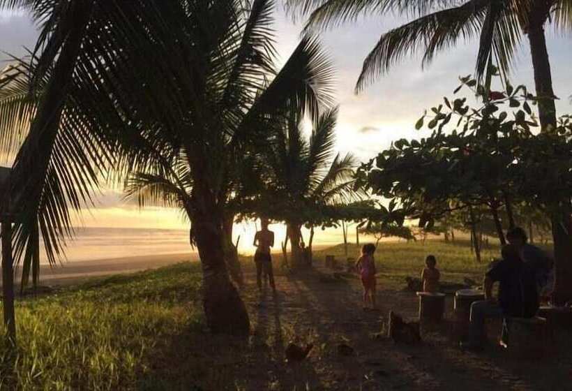 Casa Alice Surf Lodge   Hostel