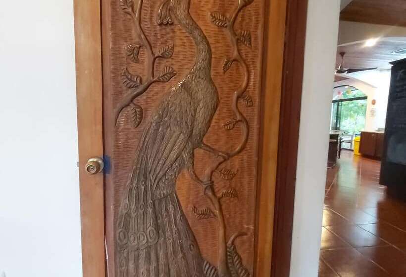 Casa Alice Surf Lodge   Hostel