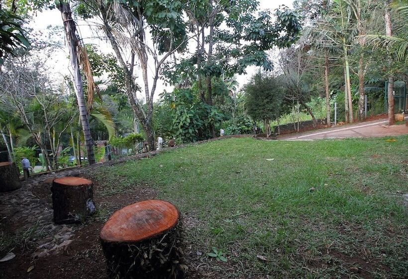 Chácara Andó Bed And Breakfast