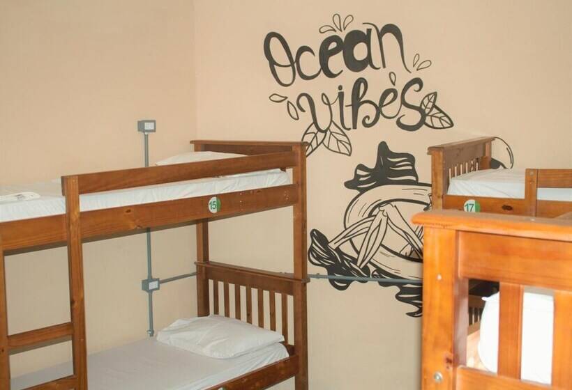 Curvão Surf House   Hostel