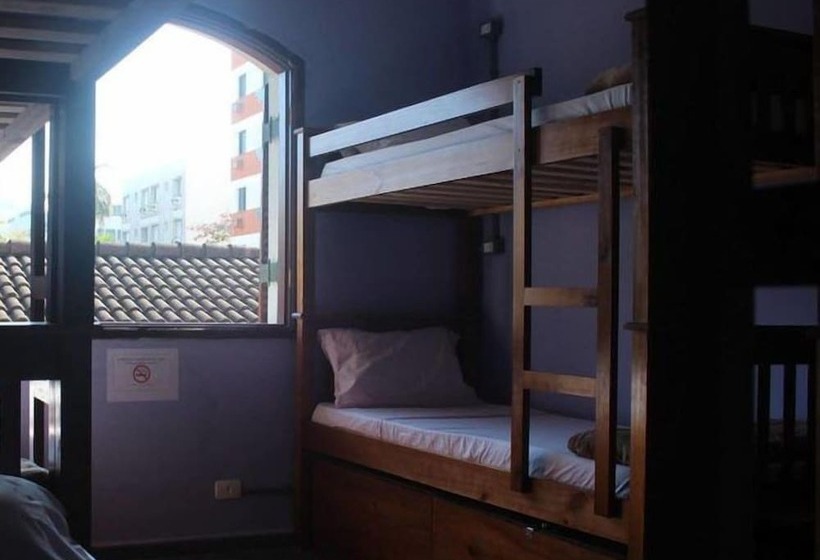 Curvão Surf House   Hostel