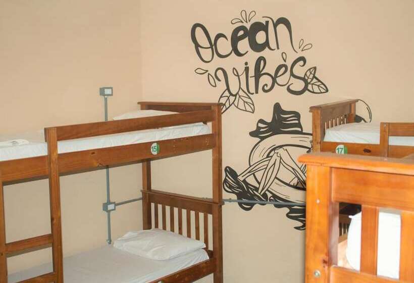 Curvão Surf House   Hostel