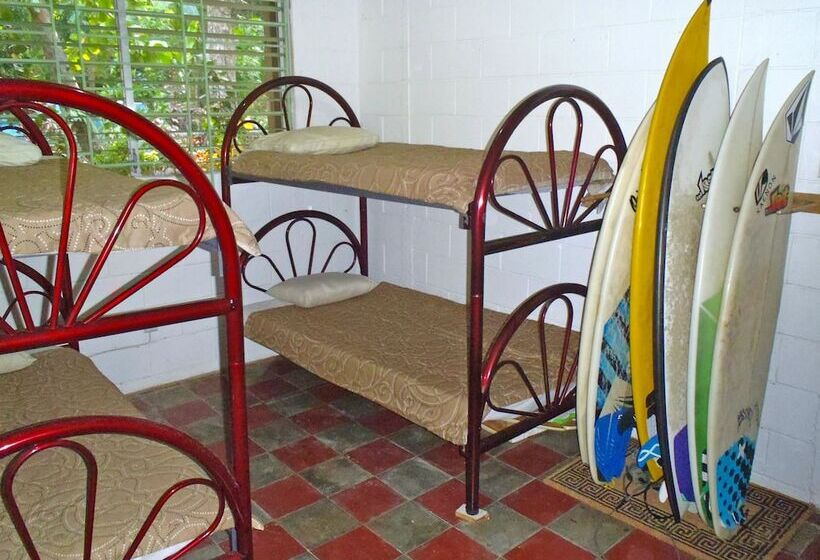 Hammock Plantation   Hostel