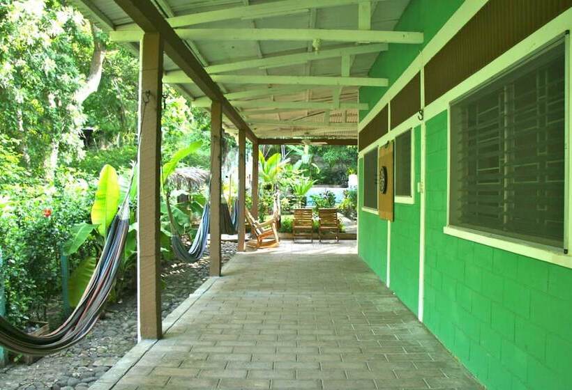 Hammock Plantation   Hostel