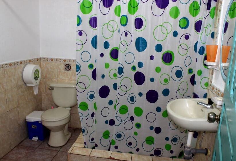 فندق فئة نجمة واحدة Puerto Ayora Island