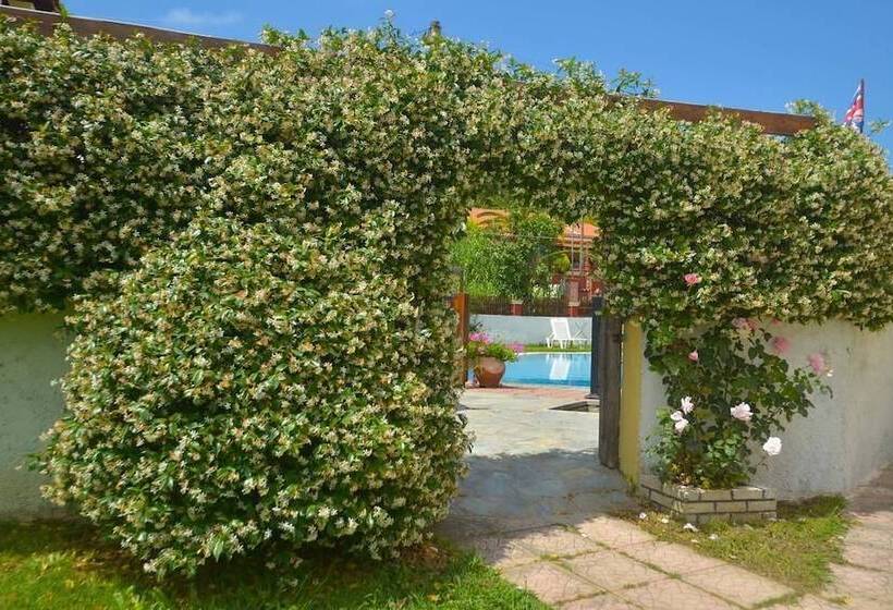 호텔 Alex Katerina Apartments