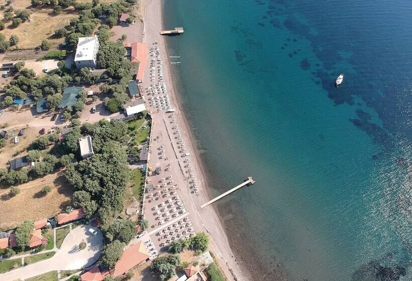 فندق Assos Batik Iskele Beach