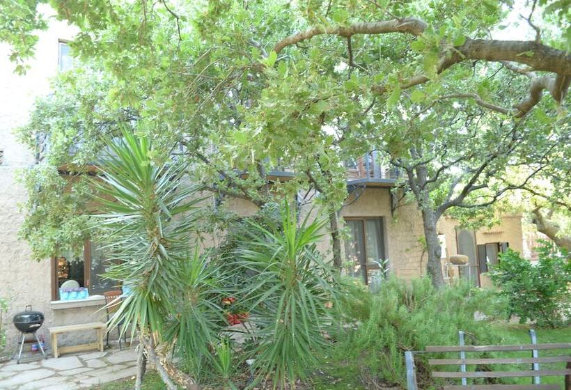 فندق Assos Batik Iskele Beach