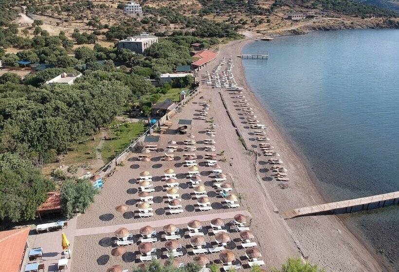 فندق Assos Batik Iskele Beach
