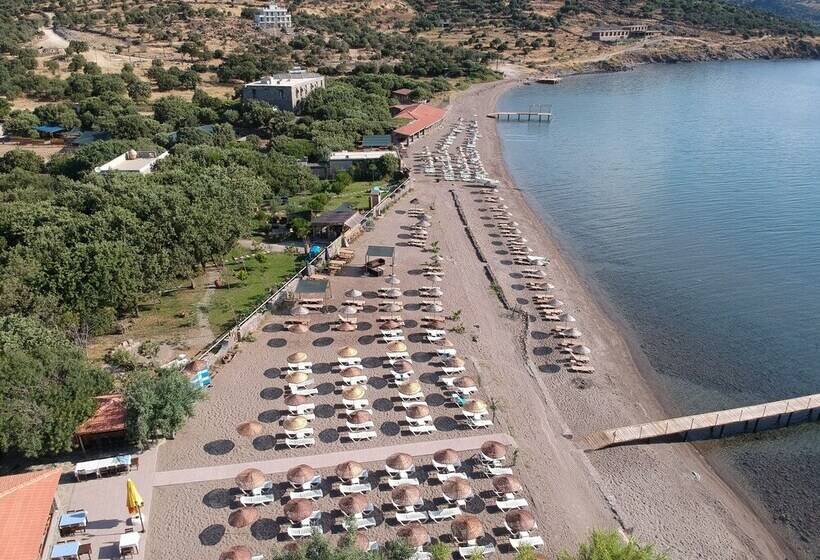 فندق Assos Batik Iskele Beach