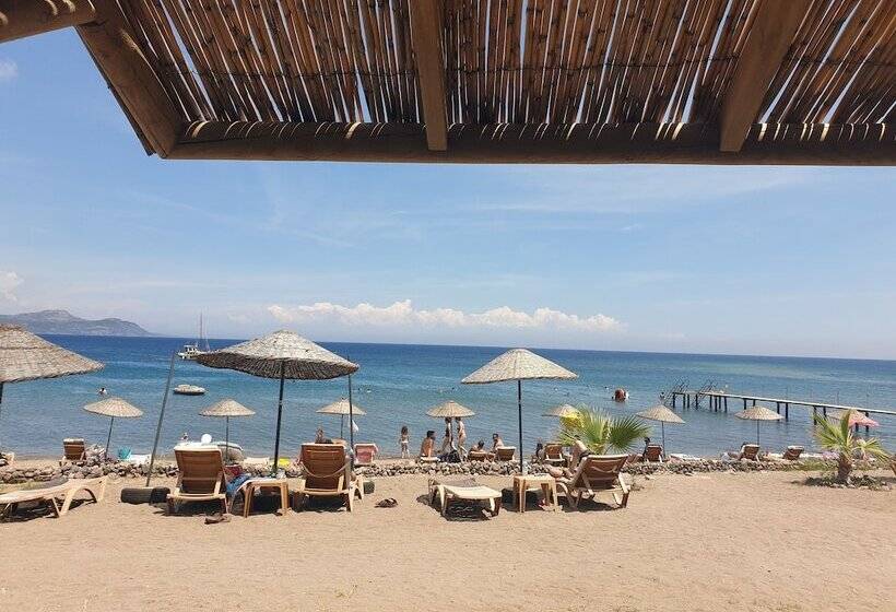 فندق Assos Batik Iskele Beach