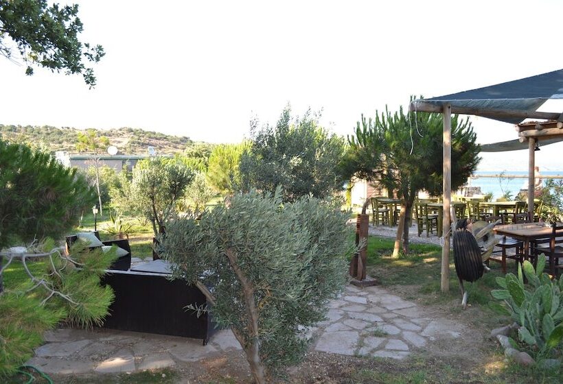 فندق Assos Batik Iskele Beach