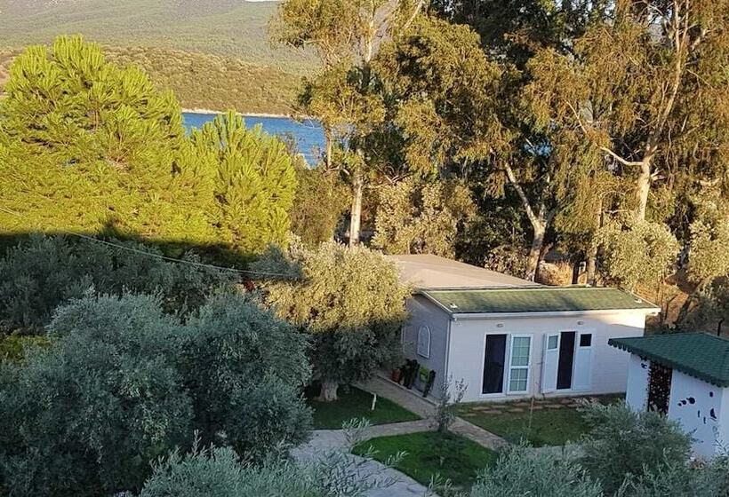 호텔 Baharin Bahce Pansiyon