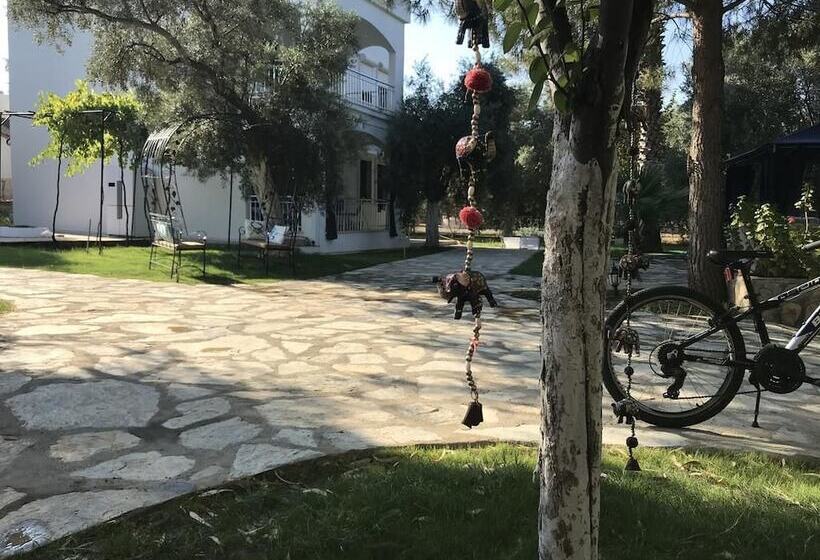 호텔 Baharin Bahce Pansiyon