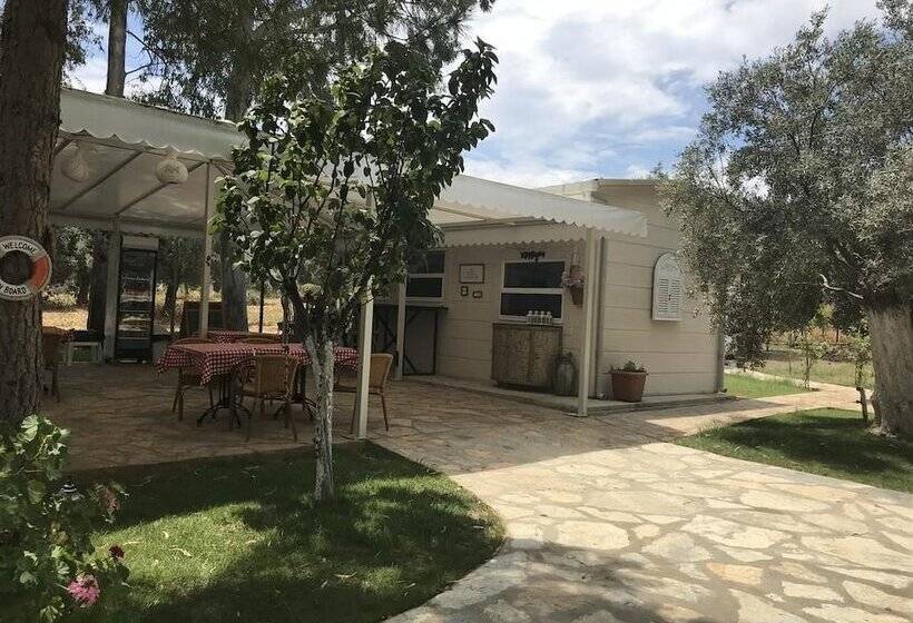 호텔 Baharin Bahce Pansiyon